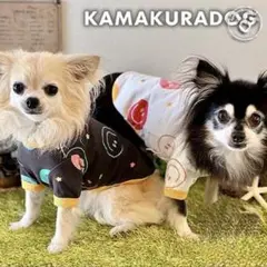 Item thumbnail for item 3e99e22c-b38b-4a4a-a0fa-a2e3eaabbf7a