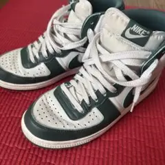 Nike ターミネーターハイ