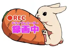 Item thumbnail for item e6f9ef6b-f13d-4b87-98c7-0ef6d6080794