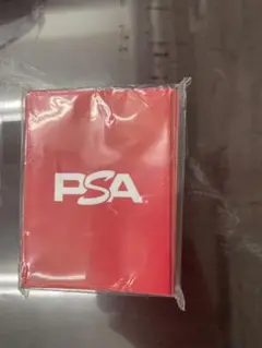 PSA ロゴスリーブ　レッド