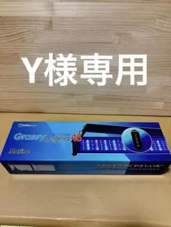 楽天市場】【全国送料無料】ボルクスジャパン グラッシーレグナ