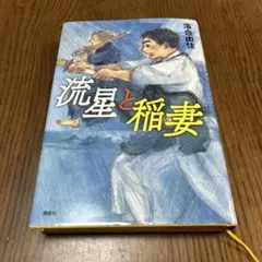 流星と稲妻 落合由佳著