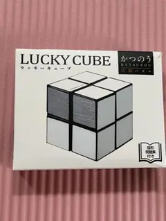 ラッキーキューブ　かつのう活脳パズル