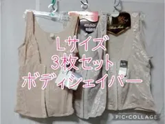 Item thumbnail for item 906faf38-b5c8-4fda-96f2-0595da2ada9b