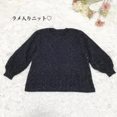 s.883 7分袖 ラメ入り ニットトップス 透かし カジュアル ブラック F