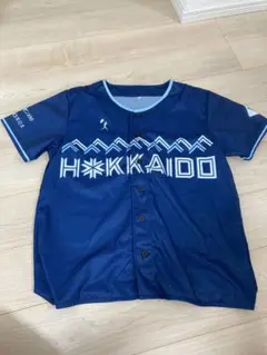 WE LOVE HOKKAIDO & FIGHTERS ユニフォーム