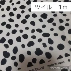 ダルメシアン柄　ツイル　ベージュグレー　1ｍ