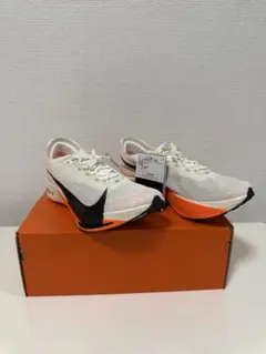 Item thumbnail for item bb206f76-0646-472f-9a8c-dd5ec3979190