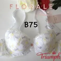 Item thumbnail for item 98383343-a9bf-4681-88a9-2dd171bcbb96