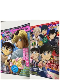 アニメディア　名探偵コナン　表紙　2冊