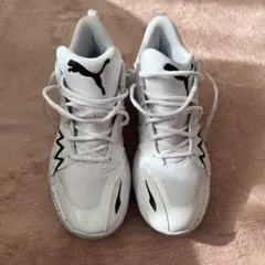 Item thumbnail for item bb95d73e-899b-4e55-998f-66878bdb651f