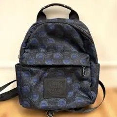 【超美品】ANNA SUI アナスイ ジャーニーコンパクトリュック ブルー