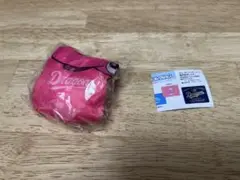 中日ドラゴンズ サコッシュコレクション パオロン