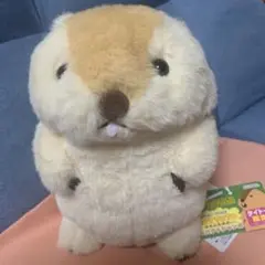 マーモットのもっとっとコンパクトJB.T コンパクトジャンボ