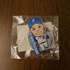 Item thumbnail for item 7f6d29ff-01ef-437b-8de0-b1cb229698b0