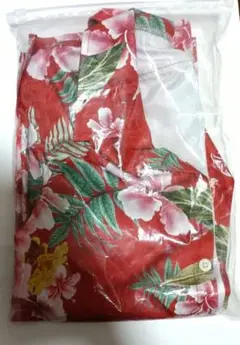 Item thumbnail for item 6ec0104c-60b1-4c7a-850b-1f392a63332c
