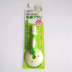 ピジョン 乳歯ブラシ のど突き防止プレート付き 6〜8ヵ月頃から グリーン