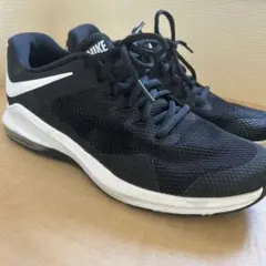 Nike エアマックス　ランニングシューズ　25cm
