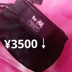 Item thumbnail for item 02b8eb37-27a7-4d28-b60e-8063eea8baa0