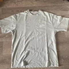 Free Speech ライトグリーンTシャツ