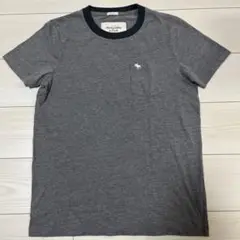 Abercrombie & Fitch グレー Tシャツ M