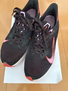 Item thumbnail for item 88e6dce6-2f60-481c-a246-1dc0eb69f3d2