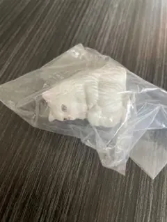 まちぼうけ 白ねこ