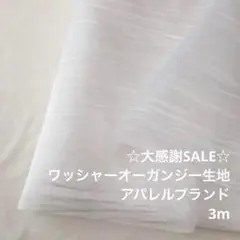 B10L/5472◆3m 感謝祭/ポリエステルワッシャーオーガンジー生地