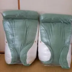 Item thumbnail for item fb6e4e53-b060-44d8-b59e-330b85b74fdb