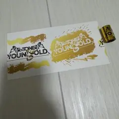 匿名配送 SixTONES YOUNGOLD 半券 2/16 銀テ
