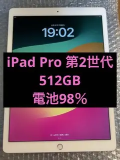 iPad Pro 12.9インチ 第二世代 512GB
