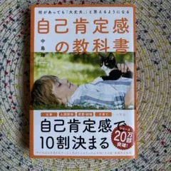 何があっても「大丈夫。」と思えるようになる自己肯定感の教科書