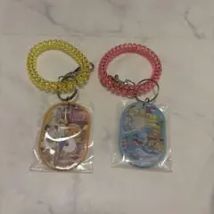 ポケモン　ぽけもんせんと〜　ライチュウ　ソーナノ