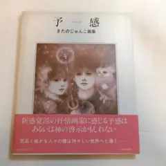予感 きたのじゅんこ 画集