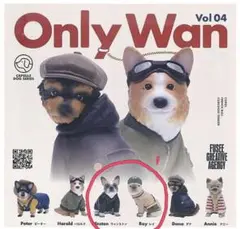 Item thumbnail for item 44d4f5bb-e55f-4e48-b8cc-ee6061c6ff68