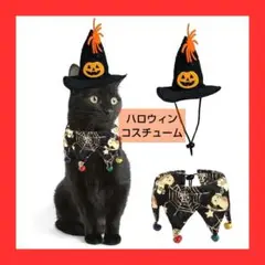 Item thumbnail for item 44ee5a1e-c583-4227-a729-6e2a1098bdce