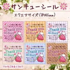 S11 サンキューシール 苺うさぎちゃん スクエア型サイズ 6色48枚セット