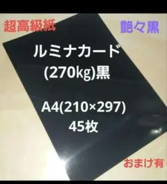 Item thumbnail for item 551ea779-2cc4-457f-86e6-89d815c7473b