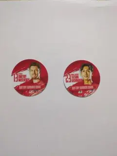 サントリーサンバーズ大阪 フェイスステッカー