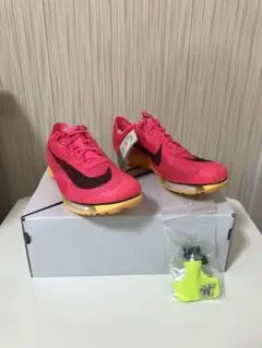 ナイキエアズームビクトリー!