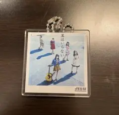 AKB48 ツアー CD購入特典 アクリルキーホルダー 翼はいらない
