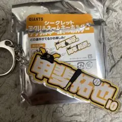 ジャイアンツ 甲斐 拓也選手 アクリルネームキーホルダー　シークレット