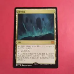 マジック：ザ・ギャザリング - MTG 魂の洞窟 日本語版 買取相場】-MtG-(日)魂の洞窟 / Cavern of Souls【LCI】 No.269