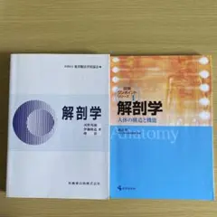 解剖学 2冊セット