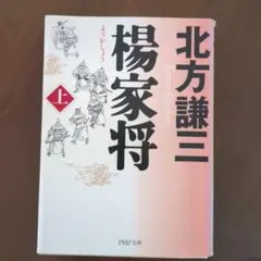 楊家将 上下　2冊