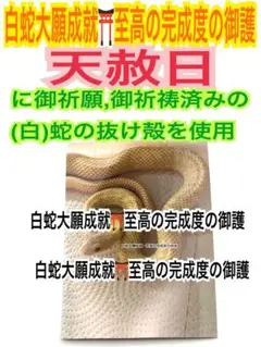 Item thumbnail for item 1645595d-04ae-493c-8109-f67e1f990e80