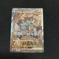 スナノケガワsar