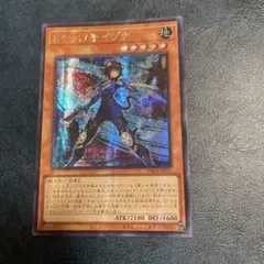K9-17号イヅナ　アジアシークレット　③