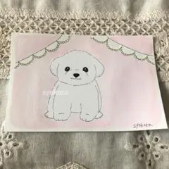 原画　水彩画　マルチーズ　犬　ポストカード　手描きイラスト　オリジナルイラスト