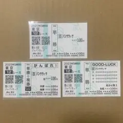 パンサラッサ　ジャパンカップ　単勝　応援　馬券　クイックピック　QP 現地